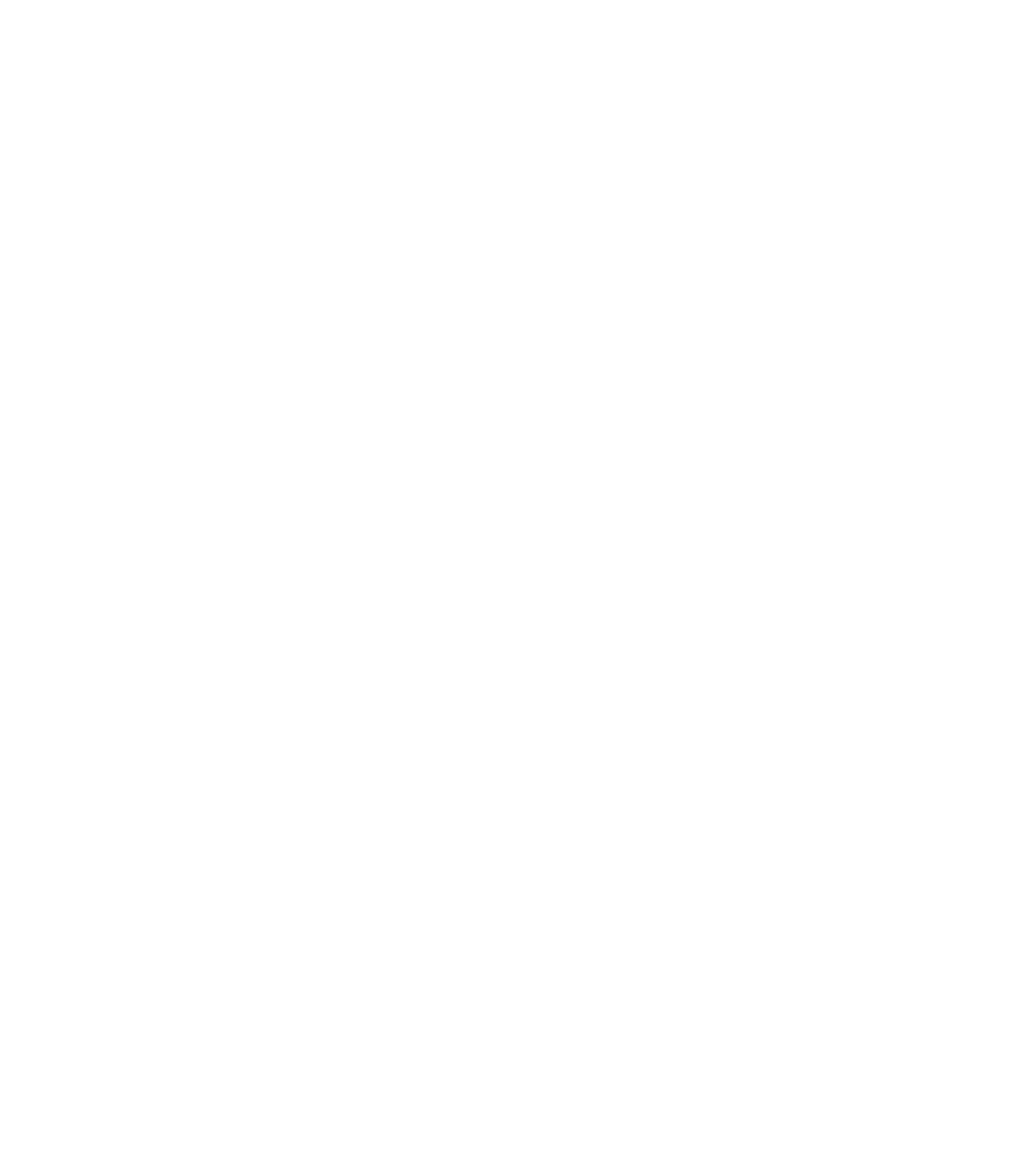 Ajax DM Logo White on Transparent